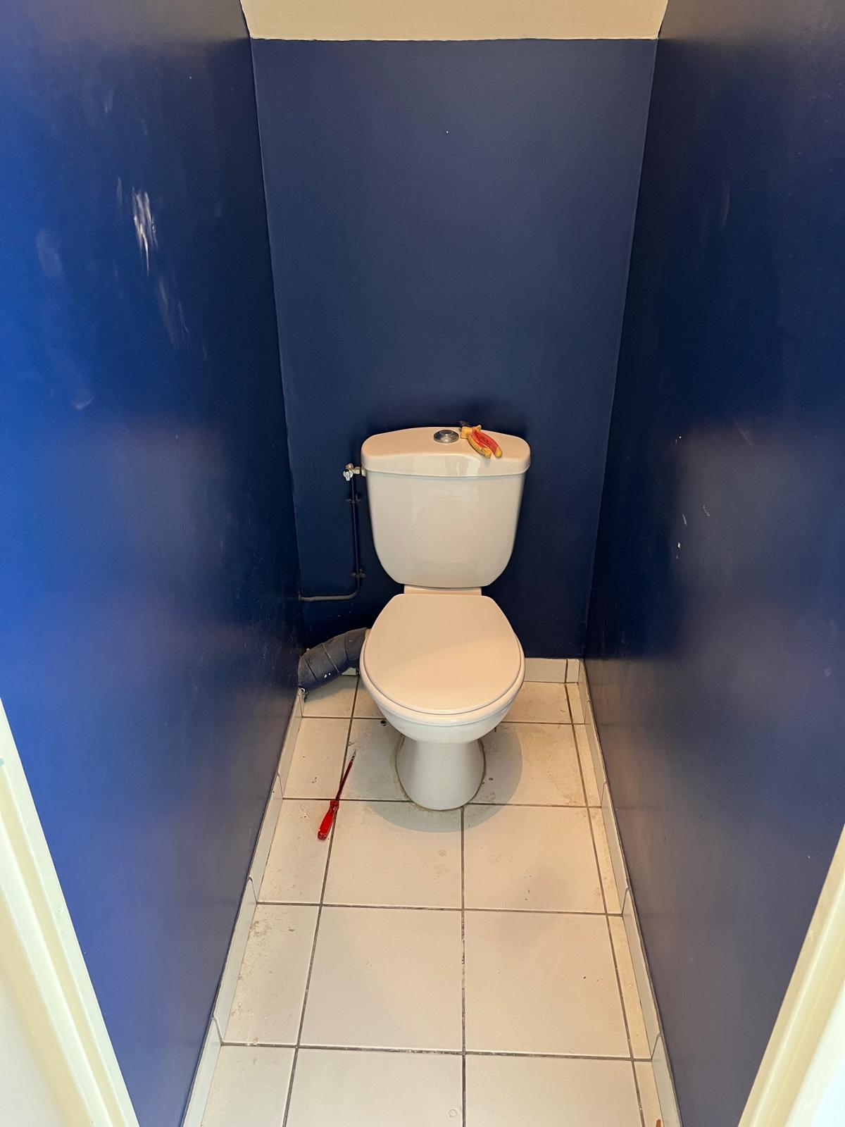 Toilettes avant rénovation — WC au sol, murs bleus, Collégien Seine-et-Marne (77)